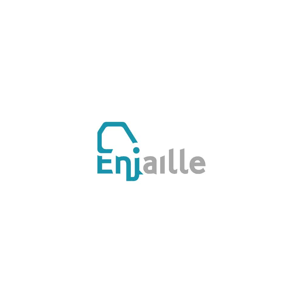 Logo pour une agence de consulting; Enjaille consulting.